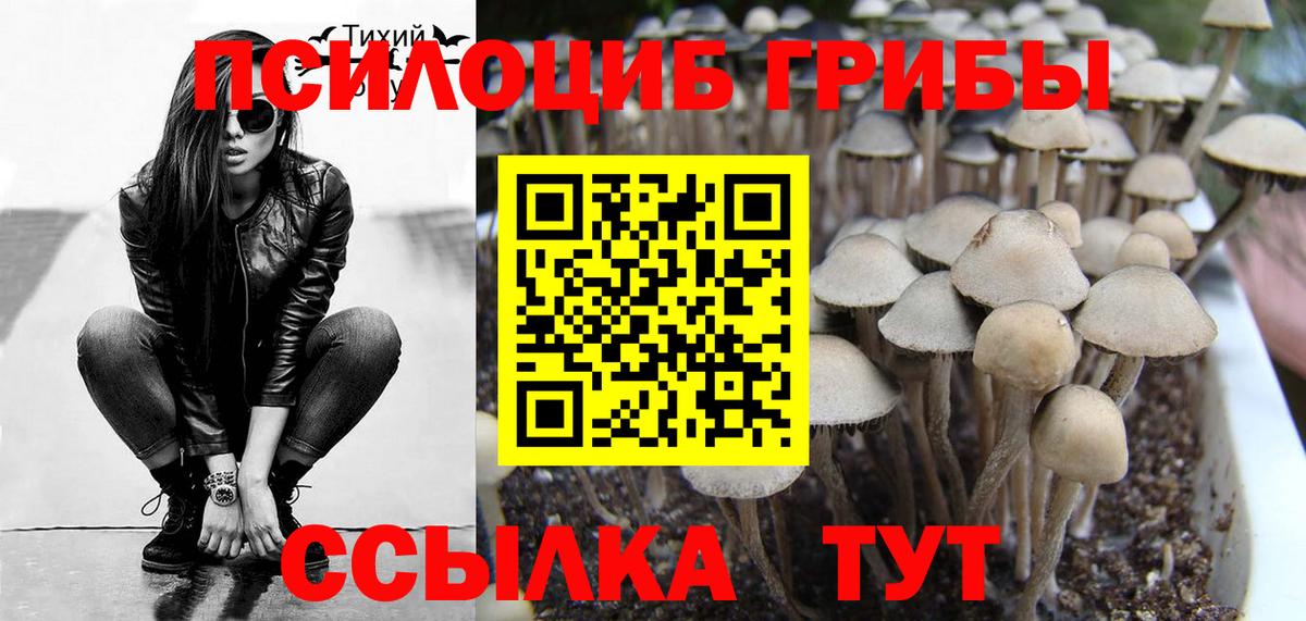 Галлюциногенные грибы Psilocybine cubensis  Вход с VPN  Кудрово 