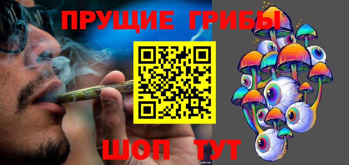 Галлюциногенные грибы Psilocybe Кудрово