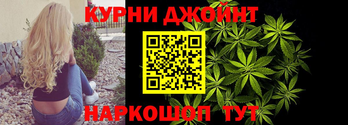 Каннабис сатива Кудрово